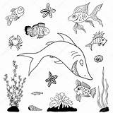 Kolorowanki Ryby Fishes Peces Vissen Kleurplaten Mewarnai Pesci Rybki Akwarium Stockillustratie Ilustracja Grafika Druku Varuna sketch template