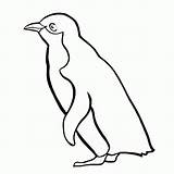 Penguin Coloring Pages Penguins Printable Baby Cartoon Colouring Simple Clipart Cliparts Rockhopper Print Kids Animal Winter Popular Cute Printables Rocks sketch template