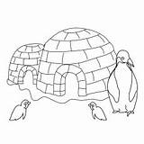 Penguin Coloring Pages Little Igloo Printable Kids Ones Articles sketch template