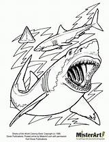 Coloring Shark Pages Sharks Printable Print Evolution Hungry Kids Megalodon Color Adults Jaws Cartoon Great Ocean Drawing Book Template Bestcoloringpagesforkids sketch template