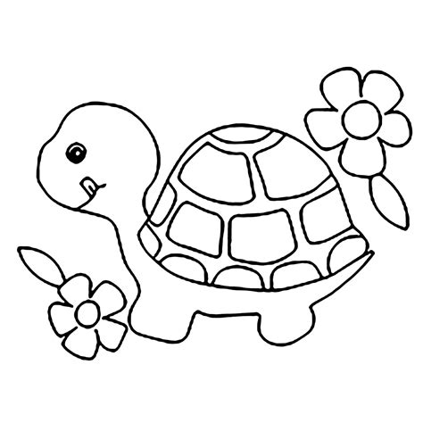 sea turtle pages  preschool coloring pages