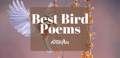 poems  birds  enjoy poem analysis