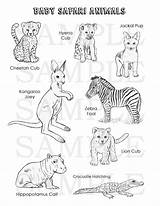 Coloring Safari Baby Animals sketch template