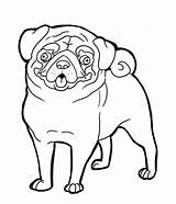 Pug Coloring Pages Dog Printable Clip Clipart Puppy Print Cliparts Kids Pugs Drawing Colouring Pig Adults Animal Dogs Animals Color sketch template