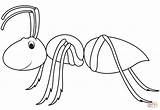 Ant Ants Hormigas Cutter sketch template