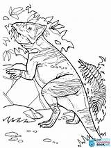 Leptoceratops Ceratopsian Dinosaurs sketch template