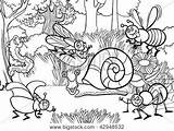 Zacate Insectos Animados sketch template