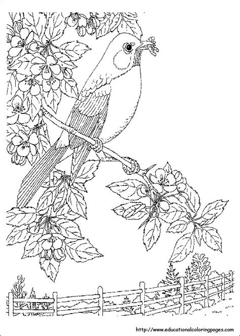 nature coloring pages printable  gif colorist