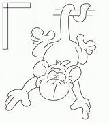 Monkey Outline Coloring Popular sketch template