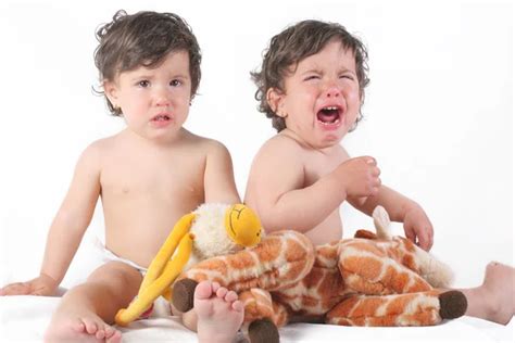 baby twins girls  crying stock photo  wenbournac