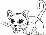 Coloring Chartreux Parade Pet Pages Coloringpages101 sketch template