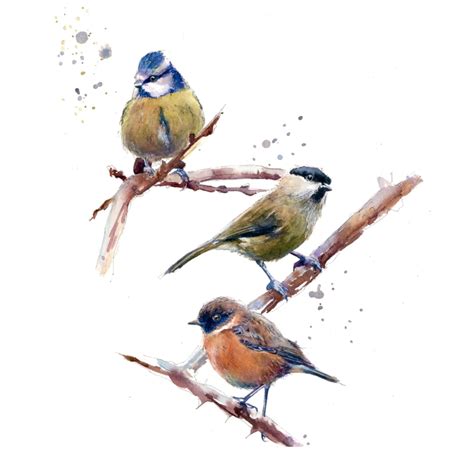 Watercolour Birds On A Branch Domestika