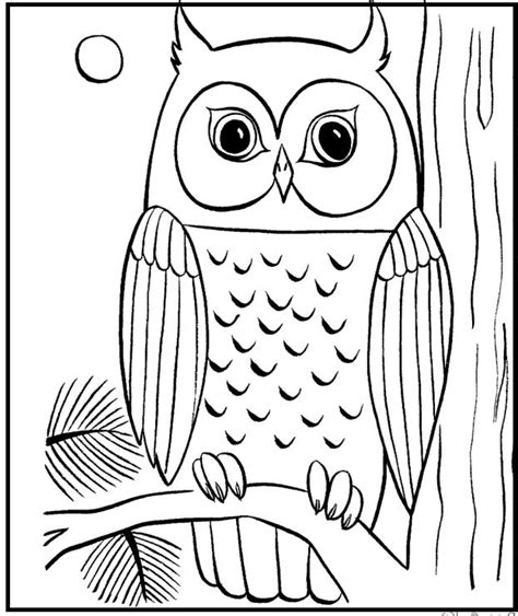 finished owl pages coloring pages