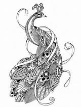 Coloring Pages Peacock Adults Zentangle Tattoo Animal Adult Mandala Drawing Sheets Choose Board Book sketch template