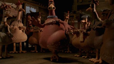 chicken run s find and share on giphy