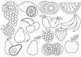Frutta Coloring Fructe Colorat Imagini Disegni Disegnare Vector Bambini Planse Despre Berries Vegetables Copiare Totul Mame Totuldespremame sketch template
