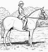 Coloring Pages Printable Horse Realistic Equestrian Library Clipart sketch template
