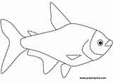 Fish Dot Coloring Drawing Dots Connect Easy Kid Pages Clipart Kids Drawings Outline Draw Color Printables Printable Learning Puzzles Azcoloring sketch template