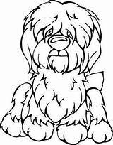 Sheepdog Myshopify Angrysquirrel sketch template