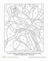 Number Color Coloring Parrot Numbers Printable Pages Kids Paint Bird Grade Adult Printables First Worksheets Worksheet Education Adults Stained Glass sketch template