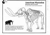 Mastodonte Mastodon Malvorlage Kleurplaat Educima sketch template