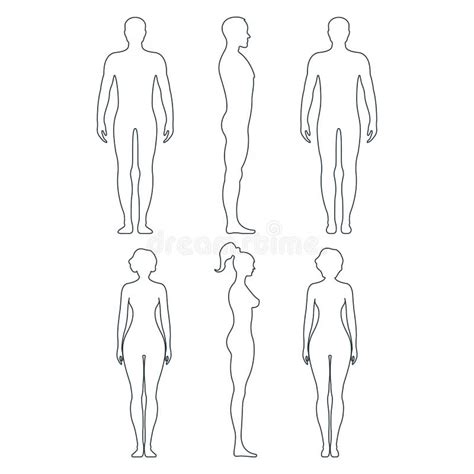 gender neutral unisex human body outline front   laisse