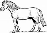 Horse Coloring Pages Template Horses Printable Color Kids Appaloosa Print Online Colouring Book Sheets Templates Supercoloring Super Draft Real Sketch sketch template