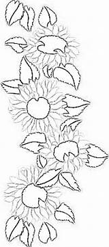 Sunflower Coloring Pages Italophile Girasole Sunflowers sketch template