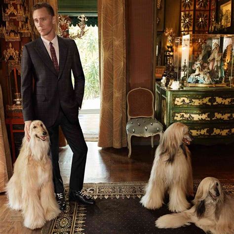 look tom hiddleston stuns in the new gucci campaign