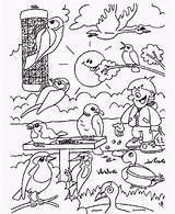 Vogels Kleurplaat Kleurplaten Waldtiere Ausmalbild Tiere Vogeltjes Downloaden Bezoeken Kleuren sketch template