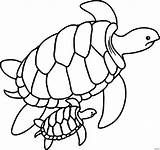 Turtle Coloring Sea Baby Pages Drawing Swimming Printable Outline Turtles Cute Green Barrier Great Simple Reef Color Mother Clipart Leatherback sketch template