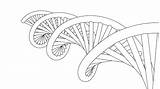 Perspective Dna Coloring Wecoloringpage sketch template