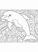 Kleurplaat Moeilijk Dolfijn Dolfijnen Schwer Dolphin Delphin Kleurplaten Delfine Ausmalbild Malvorlage sketch template