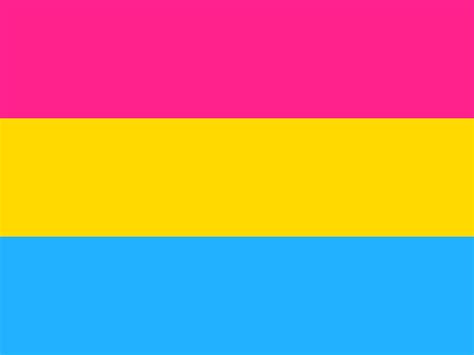 pansexual pride lgbtq flags in honor of pride month i crafted 6