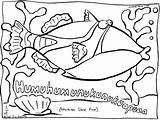 Coloring Hawaiian Fish Printables Pages Printable Kids Comments Colouring State Popular Coloringhome sketch template