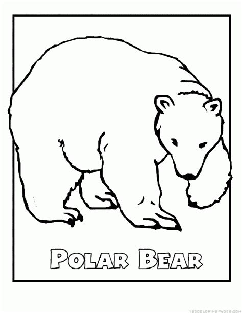 polar bear coloring pages part