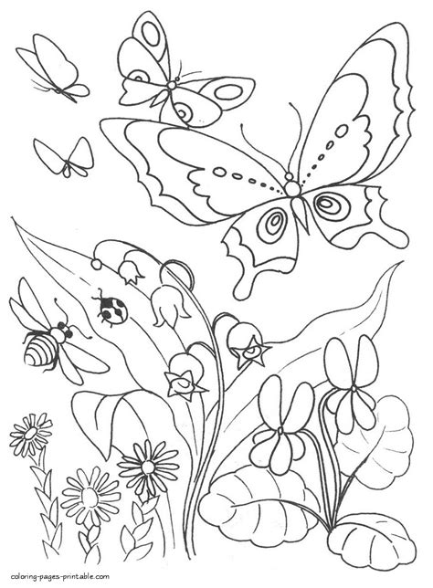 bumblebee ladybug  butterflies coloring page coloring pages