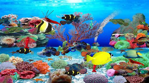 fish aquarium screensaver imaginelasopa