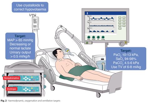 published  erc esicm guidelines  post resuscitation care