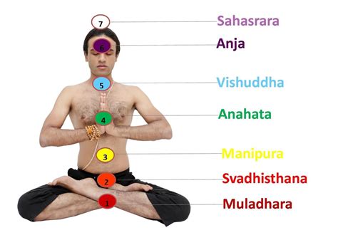 chakras   yoga poses balancing spine chakras kundalini yoga