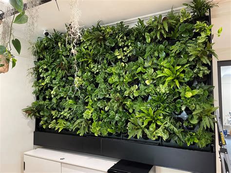 indoor green wall  cost