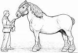 Horse Cheval Clydesdale sketch template