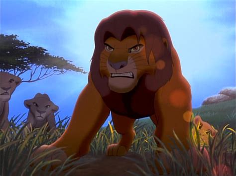 fight  lion king  simbas pride movies tv shows wallpaper  fanpop