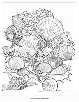 Coloring Pages Sea Seashells Shells Beach Para Printable Adult Book Colorear Mar Seashell Color Mandala Etsy Dibujos Life Mandalas Ocean sketch template