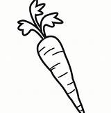 Zanahoria Wortel Carotte Coloriage Kleurplaat Carrot Zanahorias Marchewka Kolorowanka Dibujar Imprimer Carrots sketch template