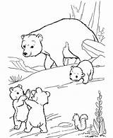 Coloring Pages Polar Bear Baby Arctic Cub Drawing Habitat Getcolorings Getdrawings Paintingvalley sketch template