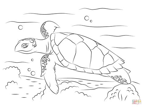 baby sea turtles coloring pages coloring home