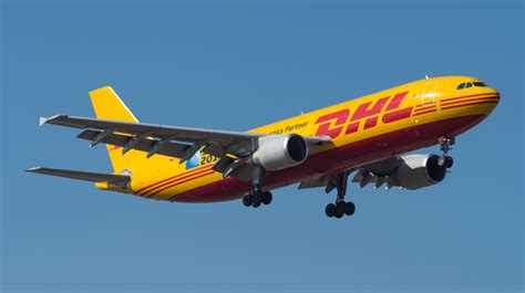 dhl express  shopify handles international shipping  ecommerce sales small business trends