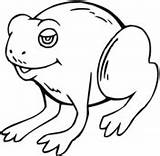 Toad Coloring Toads Pages Printable Categories sketch template
