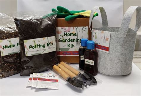 kids home gardening starter kit   shop return gifts